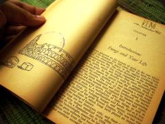 Mushroom book interior
