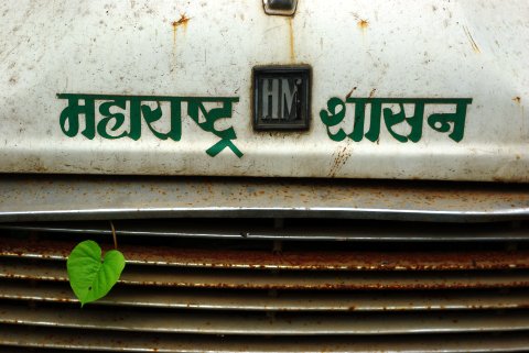 leaf growing out of the grille of an abandoned ambassador car