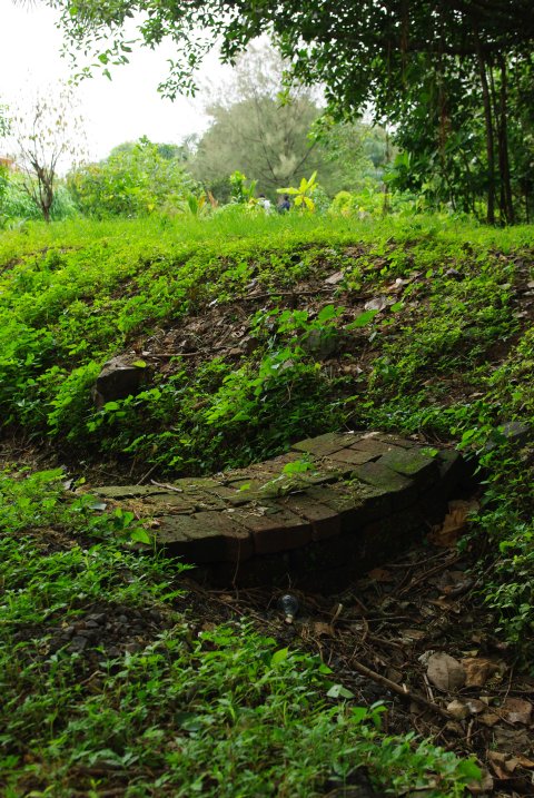 brick pathway through shallow ditch