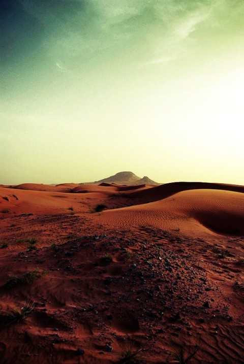 Dubai Desert - cross-processed Dubai Desert - cross-processed