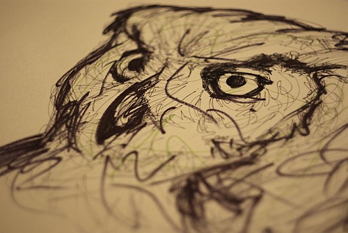pen sketch of an owl's head