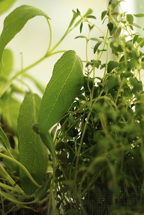 sage and thyme