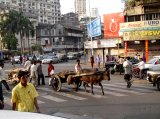 nana chowk