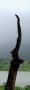 Ghadeshwar Stump