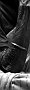 Hands