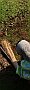Sweeper