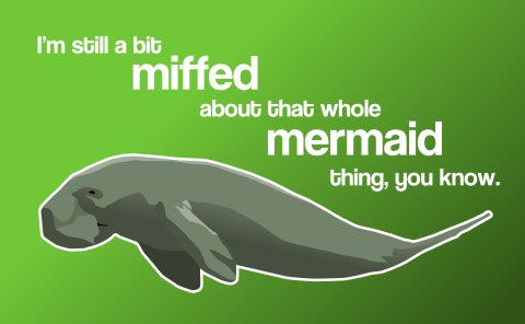 I'm still miffed about that whole mermaid thing, you know.