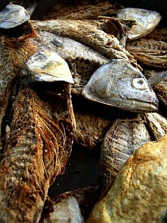 Photo of dry spiced and salted fish