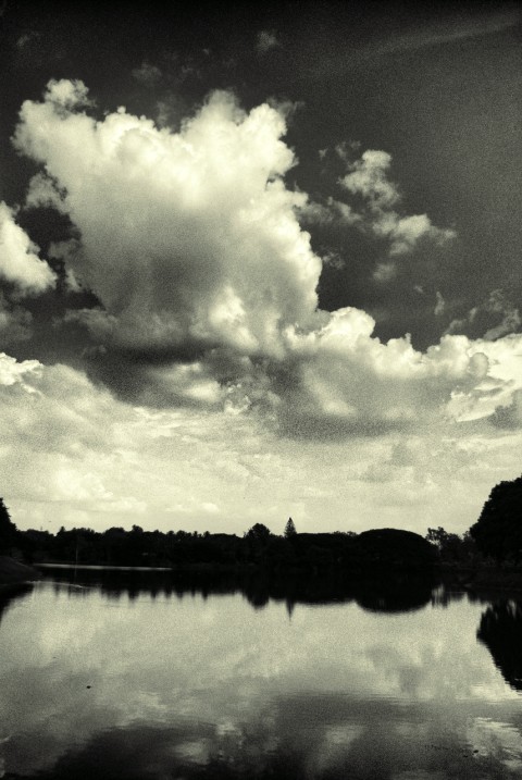Clouds reflected in the water at Lal Bagh, Bengaluru, in black and white